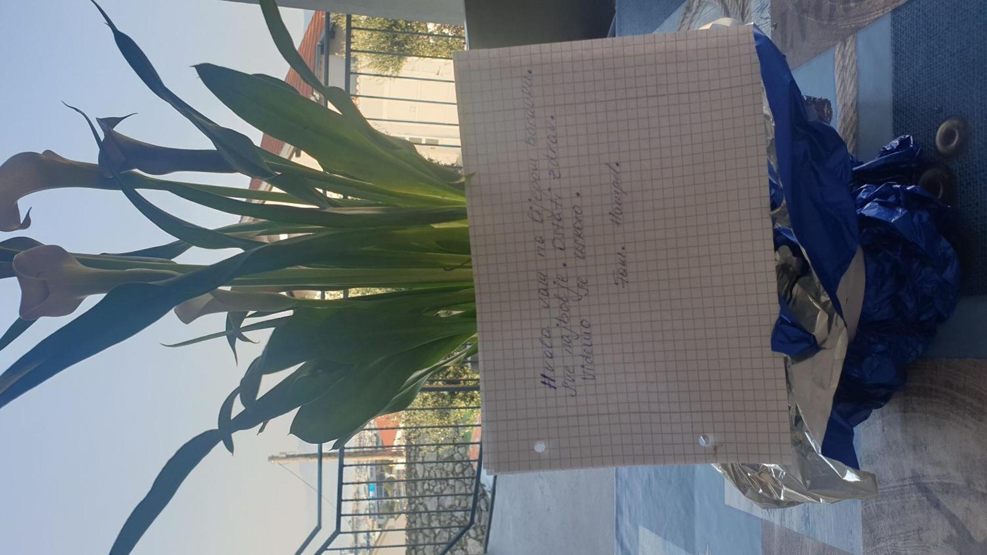 Apartment Goran Нови Винодолски Екстериор снимка
